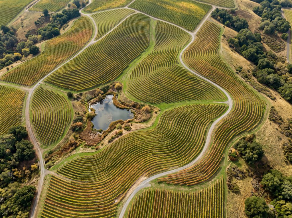 Aerial view of vineyard blocks following the hills